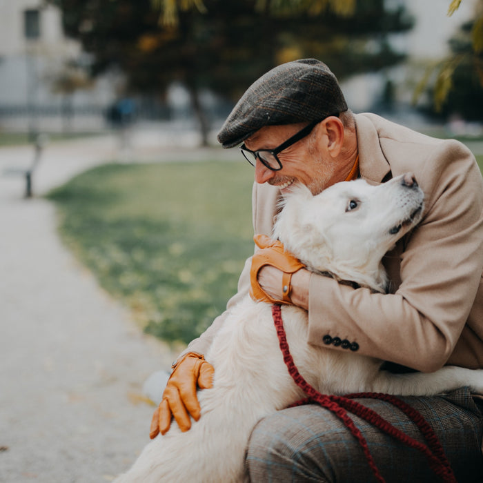 Avere un cane aiuta i nostri anziani